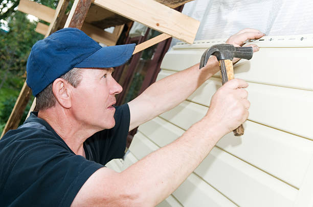 Best Brick Veneer Siding  in Rehobeth, AL