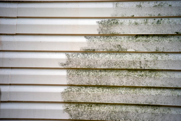 Best Fascia and Soffit Installation  in Rehobeth, AL