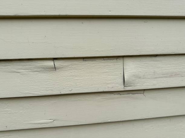 Best Insulated Siding Installation  in Rehobeth, AL